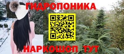 сатива Жуковский