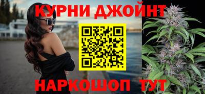 сатива Жуковский