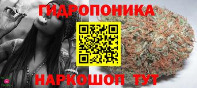 сатива Жуковский