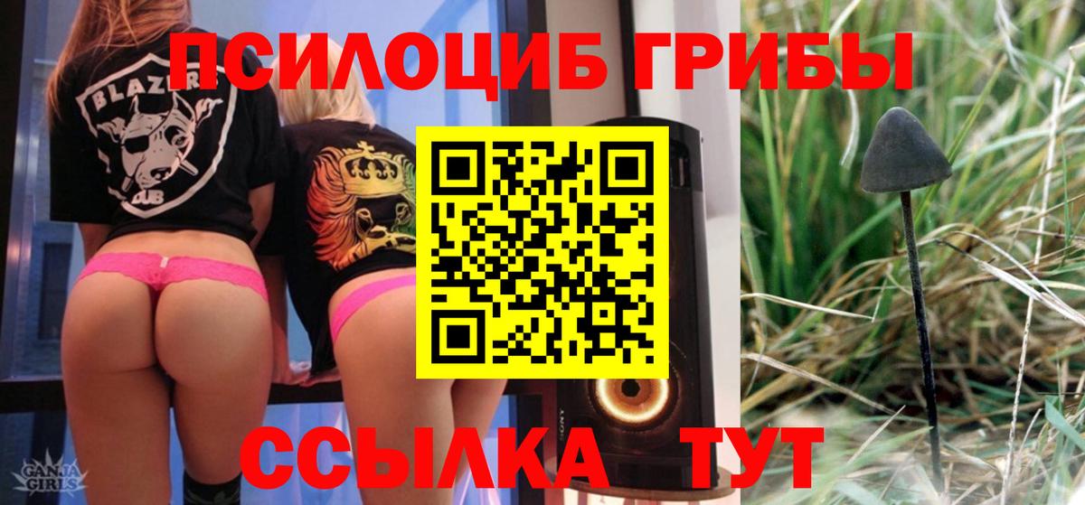 Галлюциногенные грибы Psilocybine cubensis  Вход с VPN  Люберцы 